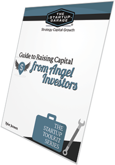 Raising Capital from Angel Investors eBook