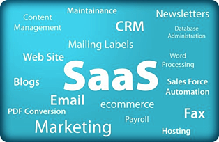 SAAS Industry Analysis Sample Business Plan from The Startup Garage